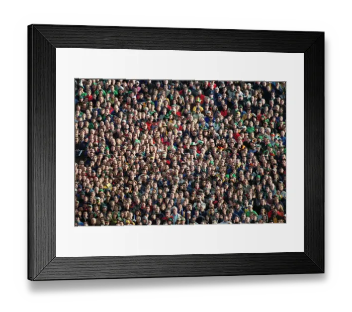 Framed Print : Irish Fans At Lansdowne Road Framed Print : Irish Fans At Lansdowne Road