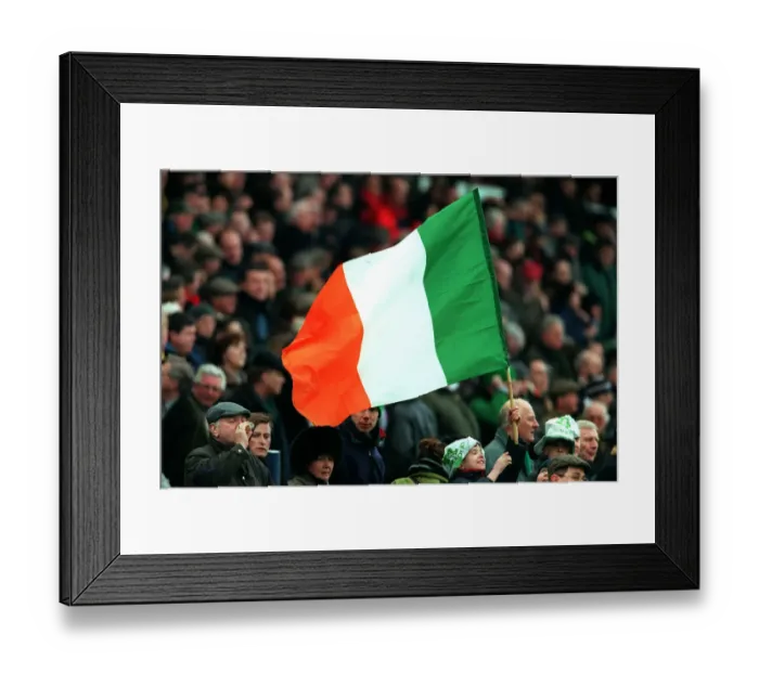 Framed Print : Ireland Flag Framed Print : Ireland Flag