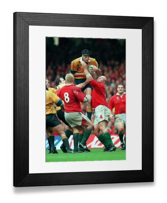 Framed Print : John Eales & Craig Quinnell Framed Print : John Eales & Craig Quinnell