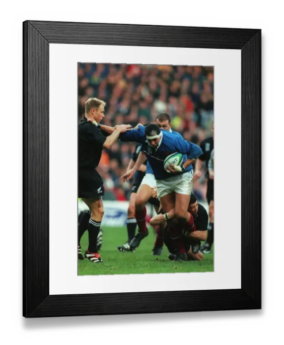 Framed Print : Benazzi, Wilson & Kelleher Framed Print : Benazzi, Wilson & Kelleher