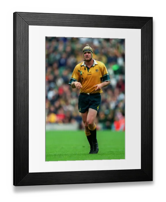 Framed Print : David Giffin Framed Print : David Giffin