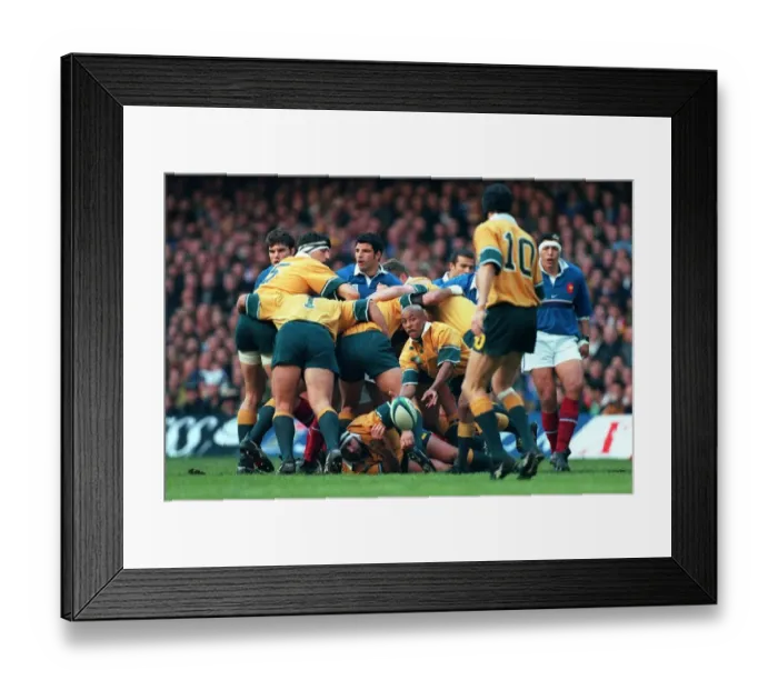 Framed Print : George Gregan At Scrum-Half Framed Print : George Gregan At Scrum-Half