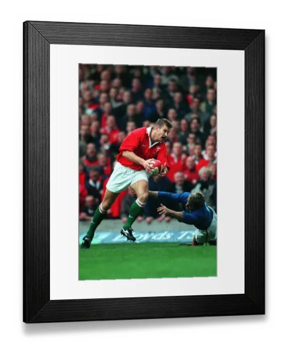 Framed Print : Dafydd James & Dominici