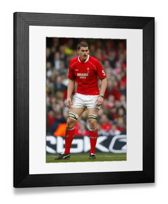 Framed Print : Ian Evans Wales Rugby Union Wales V Australia Millennium Stadium Framed Print : Ian Evans Wales Rugby Union Wales V Australia Millennium Stadium