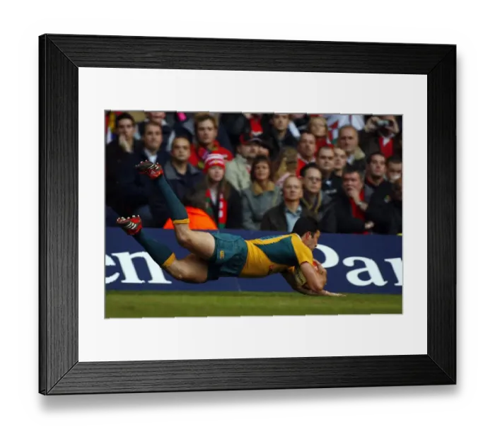 Framed Print : Cameron Shepherd Framed Print : Cameron Shepherd