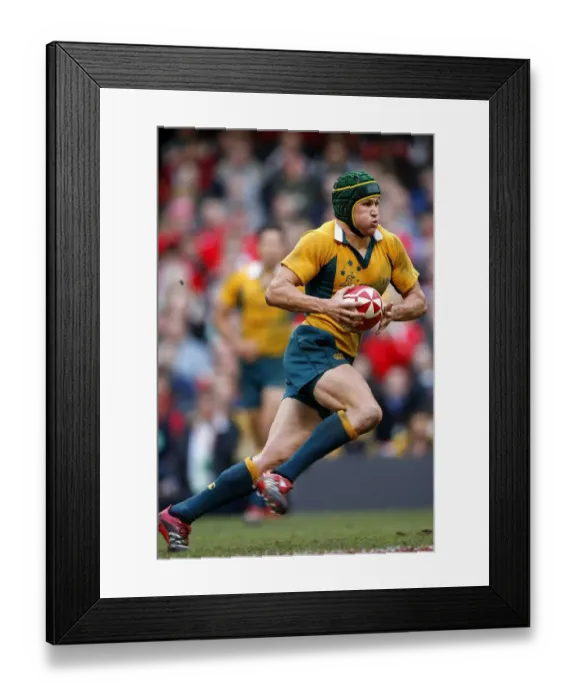 Framed Print : Matt Giteau Framed Print : Matt Giteau