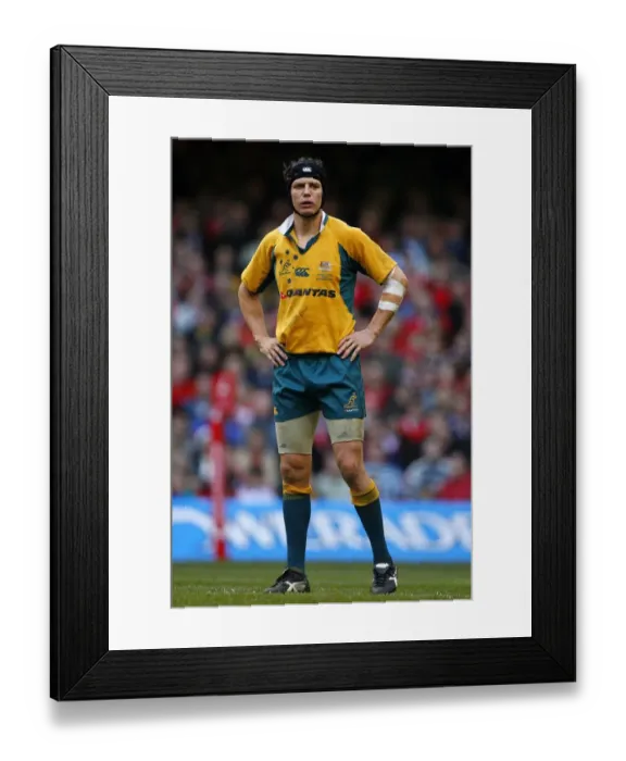 Framed Print : Stephen Larkham Framed Print : Stephen Larkham