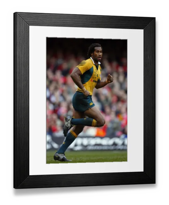 Framed Print : Lote Tuqiri Framed Print : Lote Tuqiri