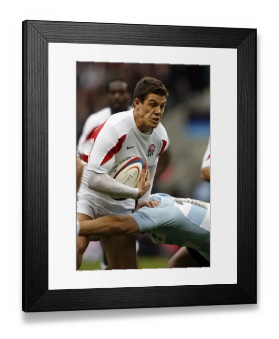 Framed Print : Anthony Allen Framed Print : Anthony Allen