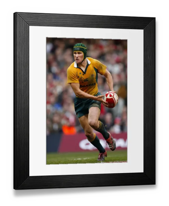 Framed Print : Matt Giteau Framed Print : Matt Giteau
