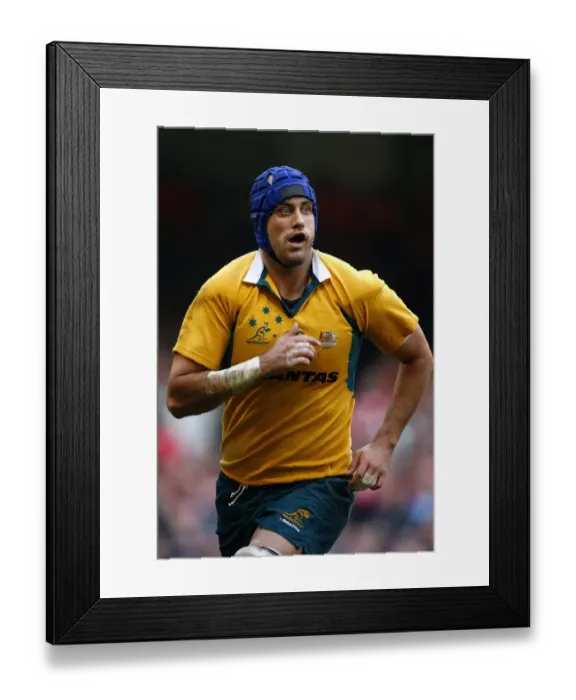 Framed Print : Nathan Sharpe Framed Print : Nathan Sharpe