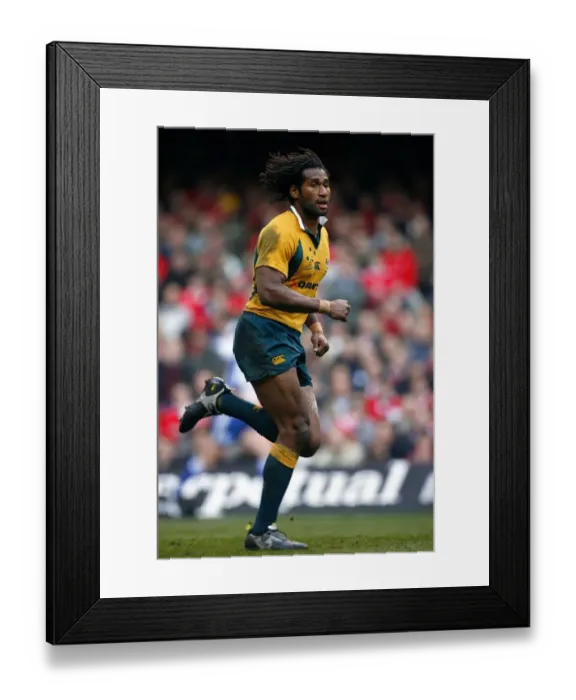 Framed Print : Lote Tuqiri Framed Print : Lote Tuqiri