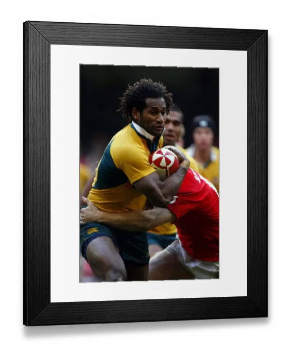 Framed Print : Lote Tuqiri Framed Print : Lote Tuqiri
