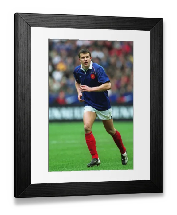 Framed Print : Damien Traille Framed Print : Damien Traille