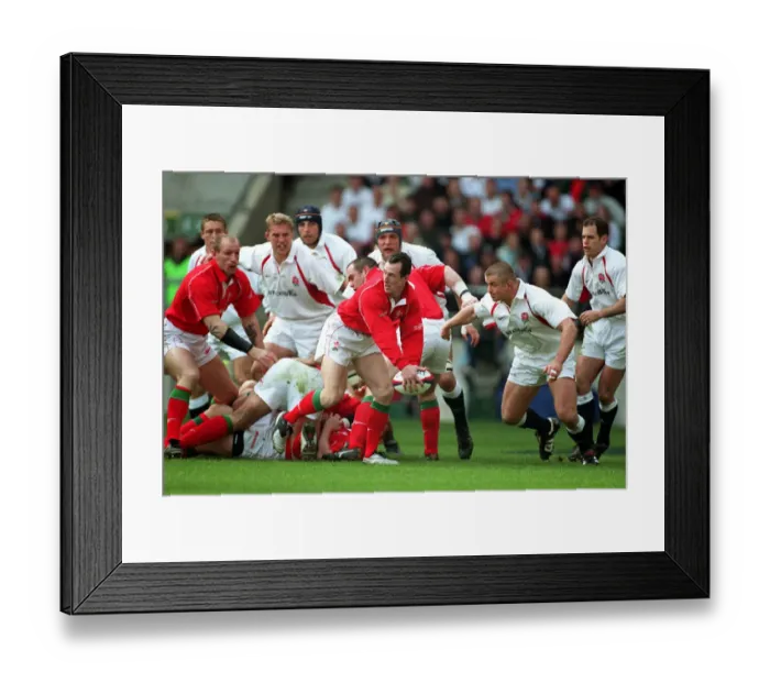 Framed Print : Rob Howley In Action Framed Print : Rob Howley In Action
