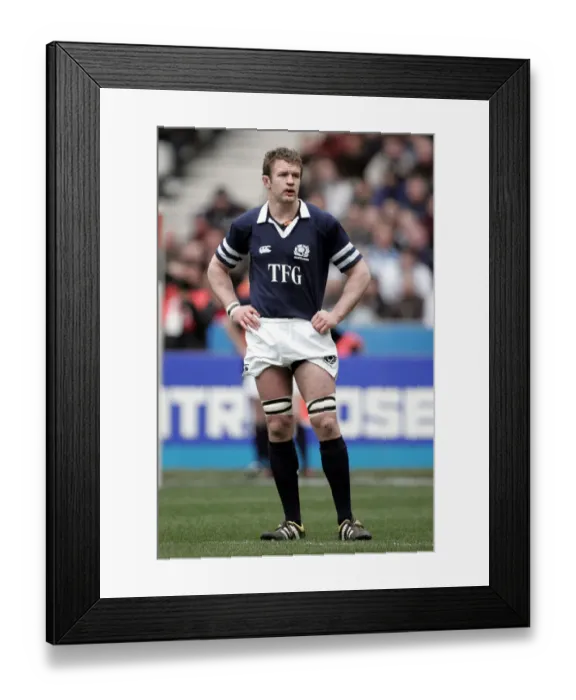 Framed Print : Matt Williams