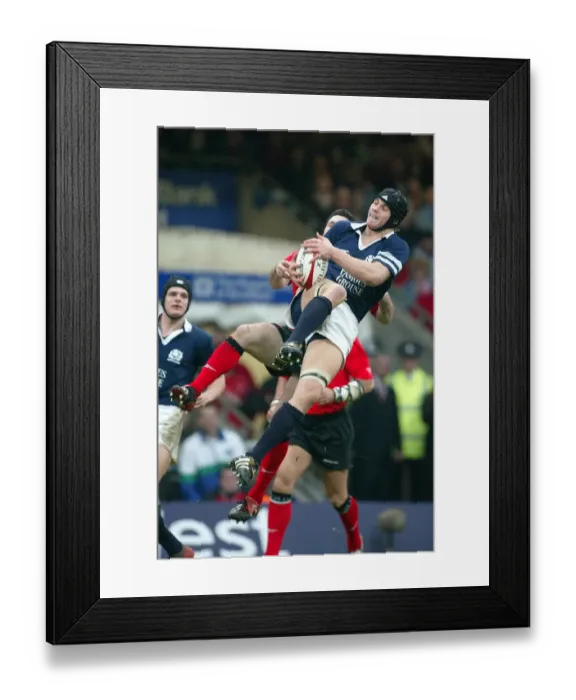 Framed Print : Stephen Jones & Simon Taylor