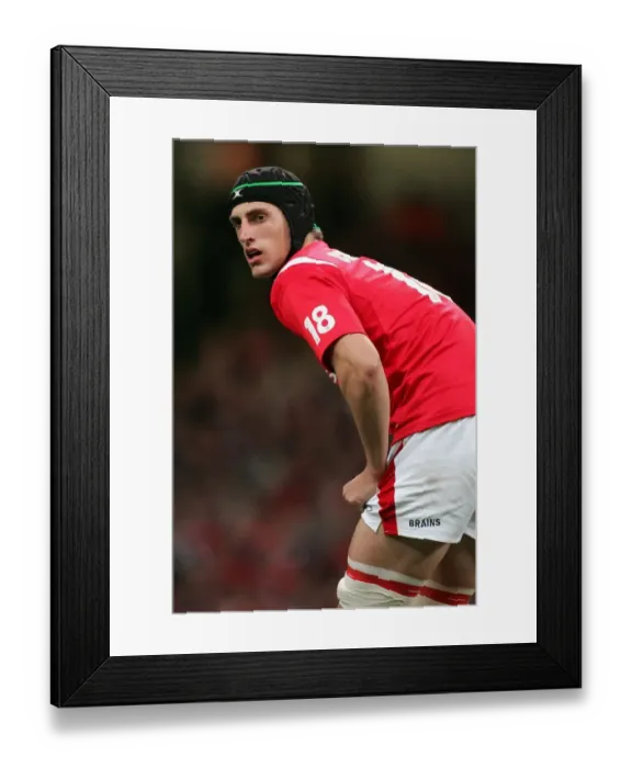 Framed Print : Luke Charteris Framed Print : Luke Charteris