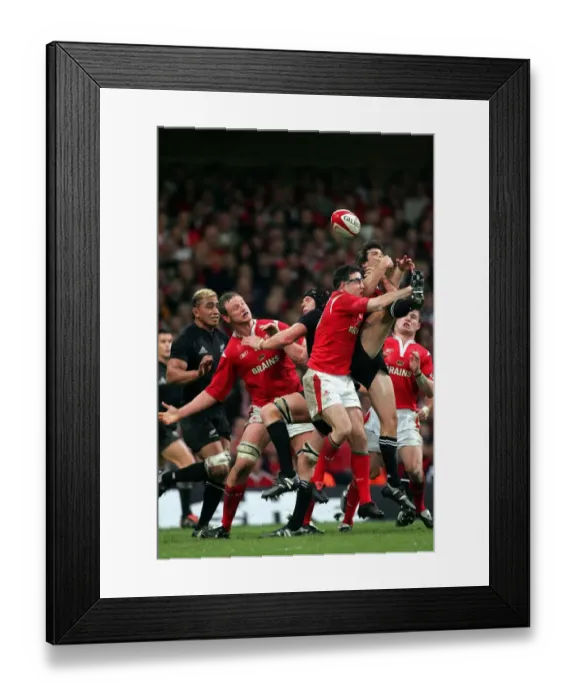 Framed Print : Stephen Jones & Conrad Smith Framed Print : Stephen Jones & Conrad Smith