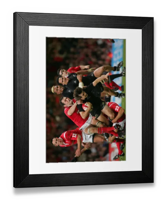 Framed Print : Conrad Smith, Lee Byrne & Robert Sidoli Framed Print : Conrad Smith, Lee Byrne & Robert Sidoli