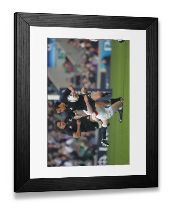 Framed Print : Tana Umaga & Mike Tindall Framed Print : Tana Umaga & Mike Tindall