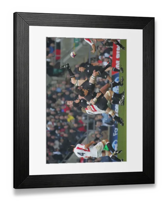 Framed Print : Carl Hayman & Lewis Moody Framed Print : Carl Hayman & Lewis Moody