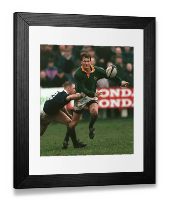 Framed Print : Gavin Johnson & Nichol Framed Print : Gavin Johnson & Nichol