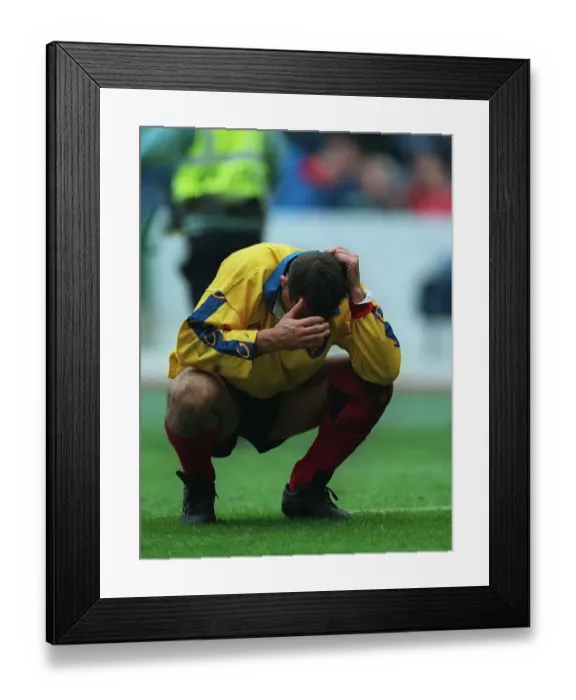 Framed Print : Daniel Neaga