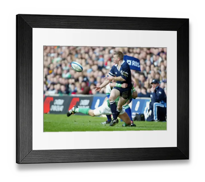 Framed Print : Glenn Metcalfe & Shane Horgan Framed Print : Glenn Metcalfe & Shane Horgan