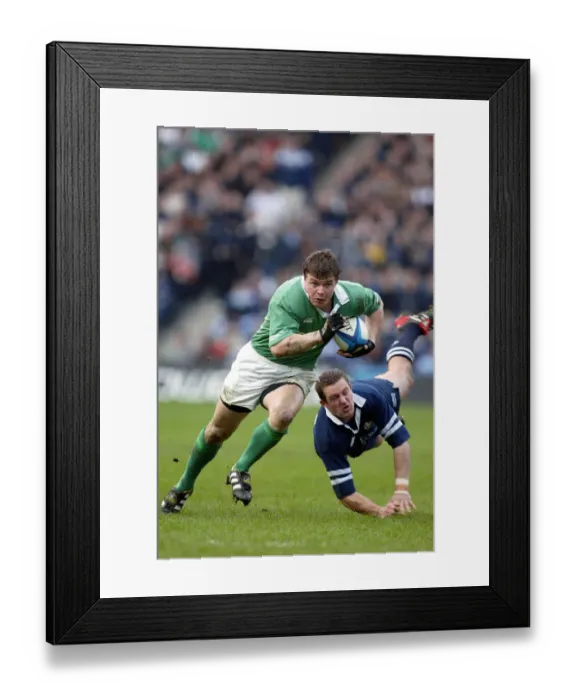 Framed Print : Brian O Driscoll, Brendan Laney Framed Print : Brian O Driscoll, Brendan Laney