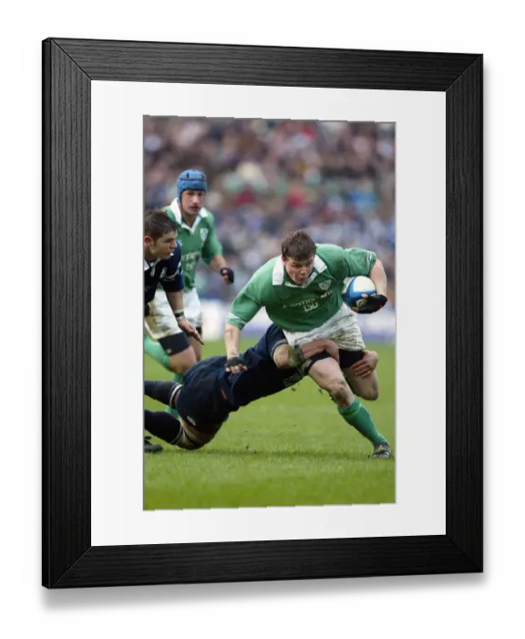 Framed Print : Brian O Driscoll, Andrew Mowyer Framed Print : Brian O Driscoll, Andrew Mowyer