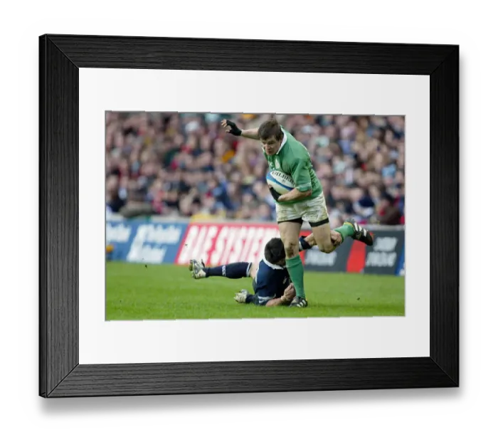 Framed Print : Brian O Driscoll & Kenny Logan Framed Print : Brian O Driscoll & Kenny Logan
