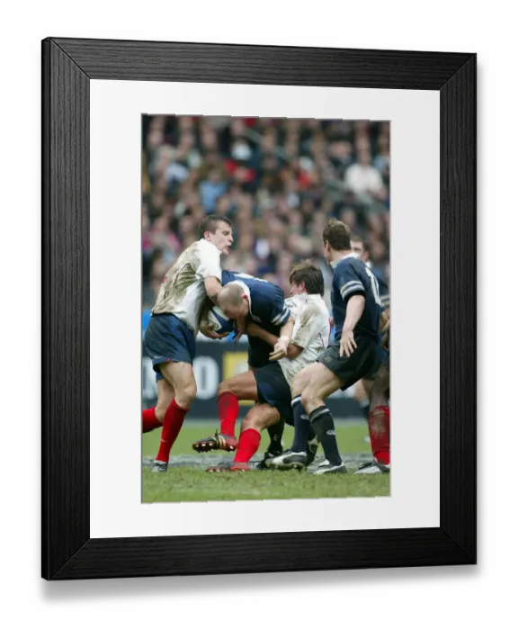 Framed Print : Gregor Townsend, Damien Traille
