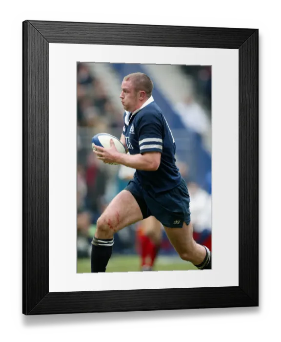 Framed Print : Jason White Framed Print : Jason White