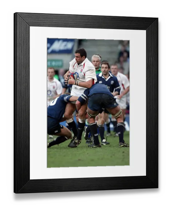 Framed Print : Martin Johnson, Hines & White Framed Print : Martin Johnson, Hines & White