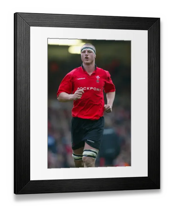 Framed Print : Brent Cockbain Framed Print : Brent Cockbain