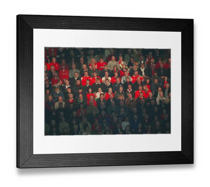 Framed Print : Sunlight Shines On Welsh Fans Framed Print : Sunlight Shines On Welsh Fans