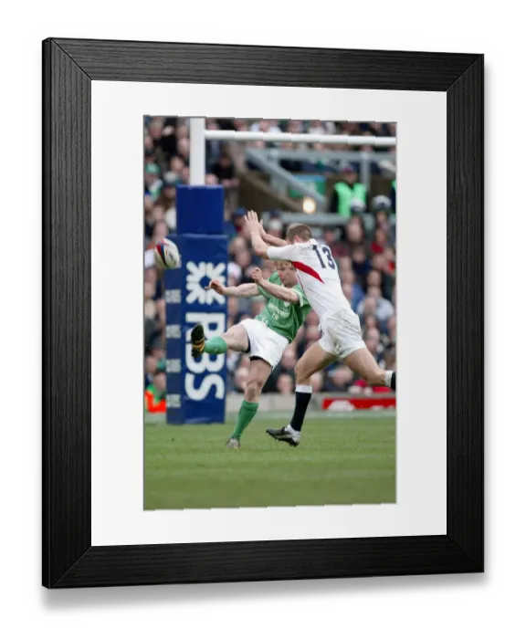 Framed Print : Brian O Driscoll & Will Greenwood Framed Print : Brian O Driscoll & Will Greenwood