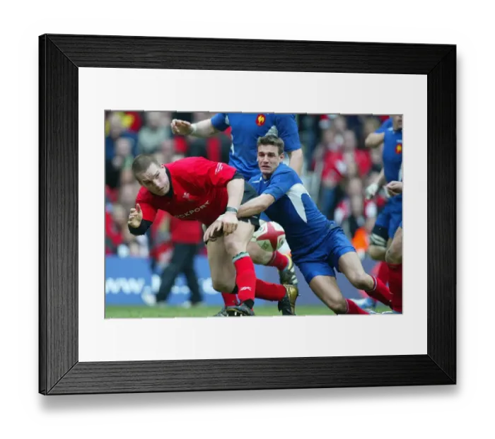 Framed Print : Gethin Jenkins & Nicolas Brusque Framed Print : Gethin Jenkins & Nicolas Brusque
