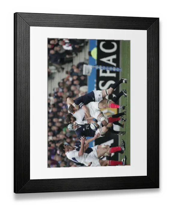 Framed Print : Jason White & Yann Delaigue Framed Print : Jason White & Yann Delaigue