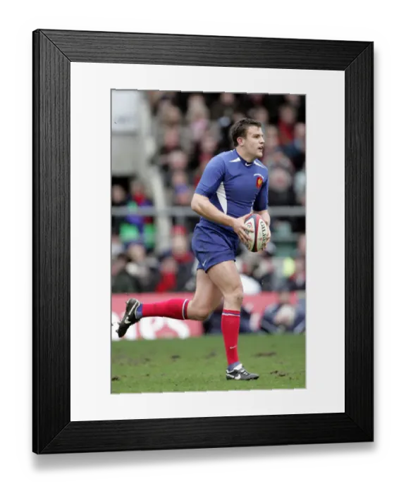 Framed Print : Damien Traille Framed Print : Damien Traille