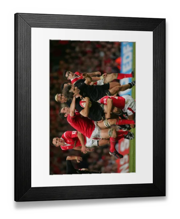 Framed Print : Conrad Smith, Lee Byrne & Robert Sidoli Framed Print : Conrad Smith, Lee Byrne & Robert Sidoli