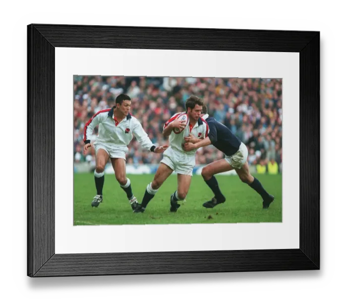 Framed Print : Bracken, Underwood, Wainwright Framed Print : Bracken, Underwood, Wainwright