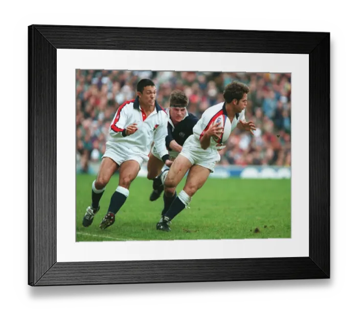 Framed Print : Bracken, Underwood, Wainwright Framed Print : Bracken, Underwood, Wainwright