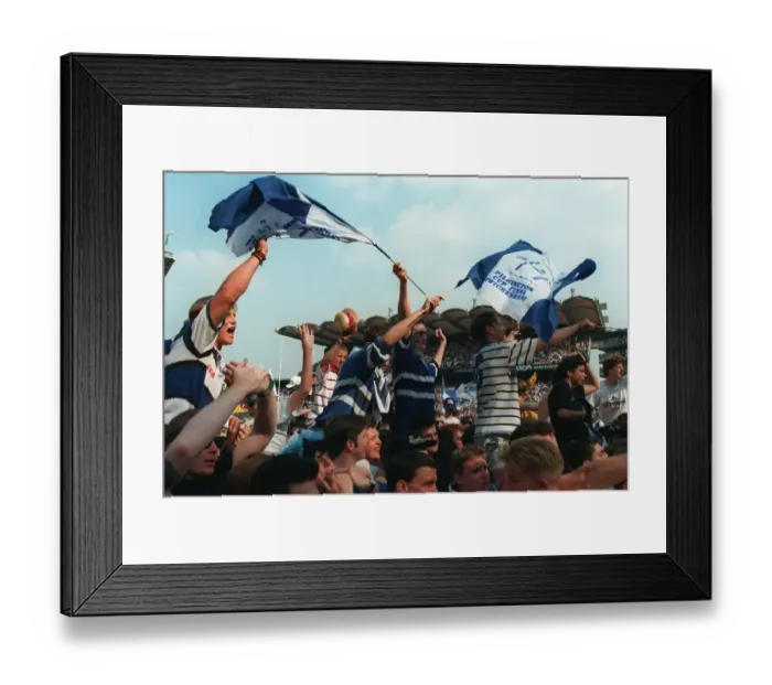 Framed Print : Bath Rugby Fans Celebrate Framed Print : Bath Rugby Fans Celebrate