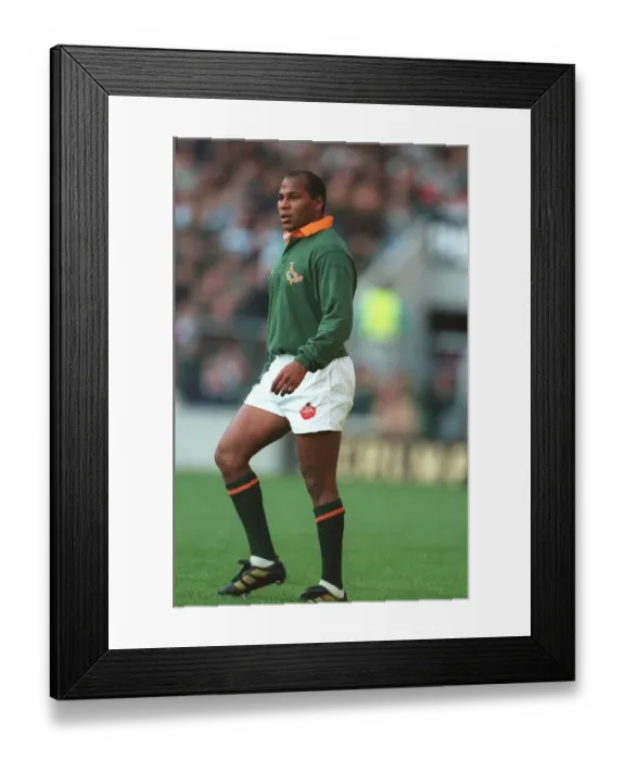 Framed Print : Chester Williams Framed Print : Chester Williams