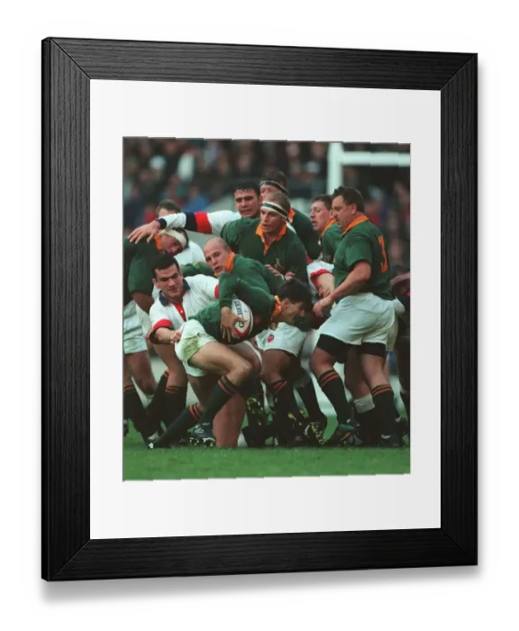Framed Print : Johnson In South Africa Scrum Framed Print : Johnson In South Africa Scrum