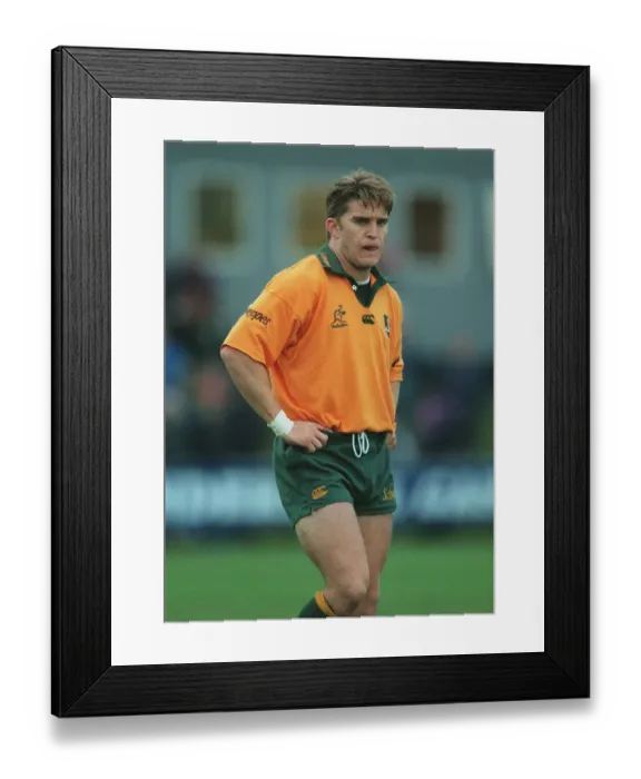 Framed Print : Timothy Horan Framed Print : Timothy Horan