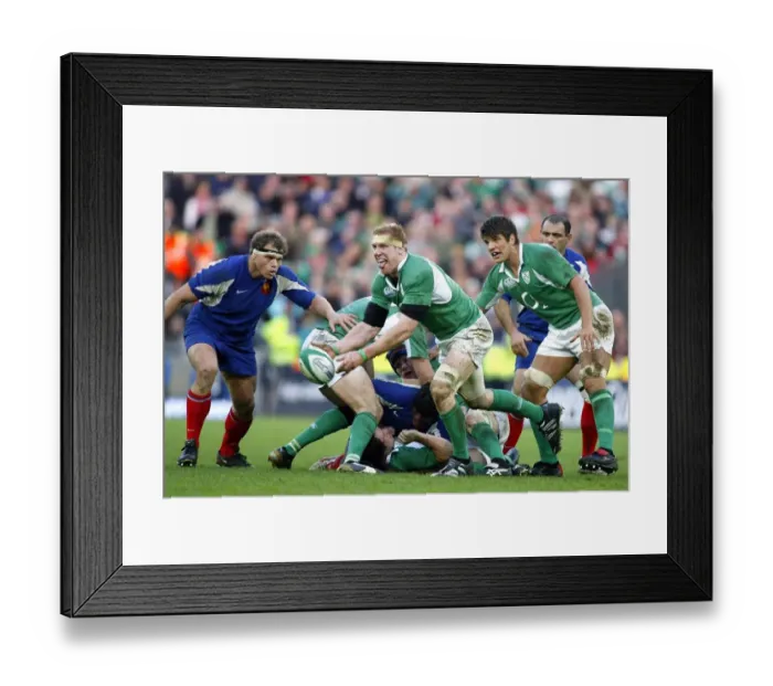 Framed Print : Paul O Connell Framed Print : Paul O Connell