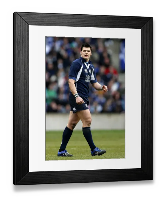 Framed Print : Rob Dewey Scotland and Edinburgh Rugby Scotland V Ireland Murrayfield Framed Print : Rob Dewey Scotland and Edinburgh Rugby Scotland V Ireland Murrayfield